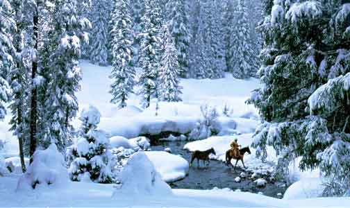 Winter-Creek-Crossing