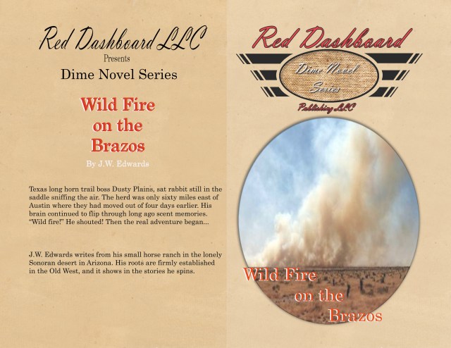 WildFire[DimeStore5x8] copy